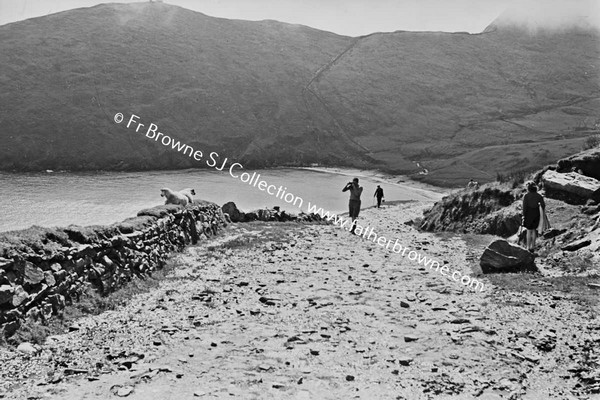 GROUP ON ROAD AT COAST